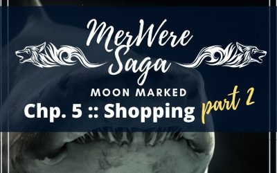 Moon Marked: Shopping Part 2