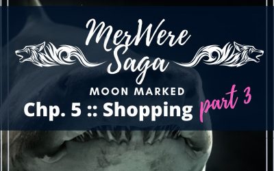 Moon Marked: Shopping Part 3