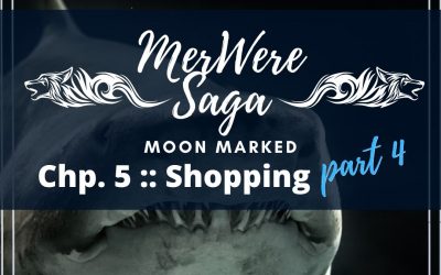 Moon Marked: Shopping Part 4